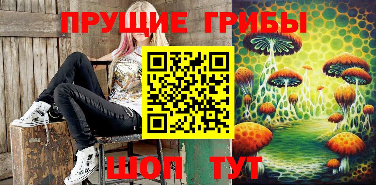 Галлюциногенные грибы GOLDEN TEACHER Бийск