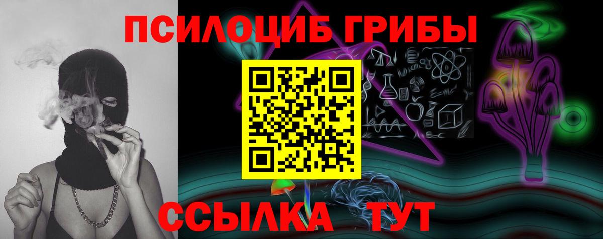 Бийск  Псилоцибиновые грибы ЛСД  Вход с VPN  Псилоцибиновые грибы Psilocybe 